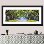Wormsloe Plantation Oak Tunnel Wall Art