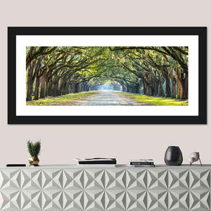 Historic Wormsloe Plantation In Savannah Wall Art