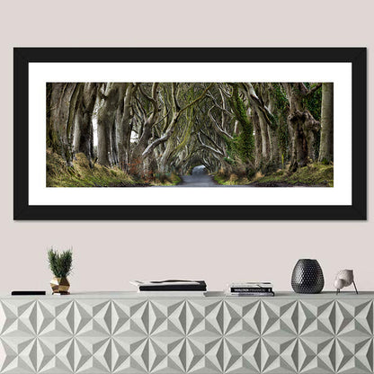 Dark Hedges Tree Tunnel Wall Art