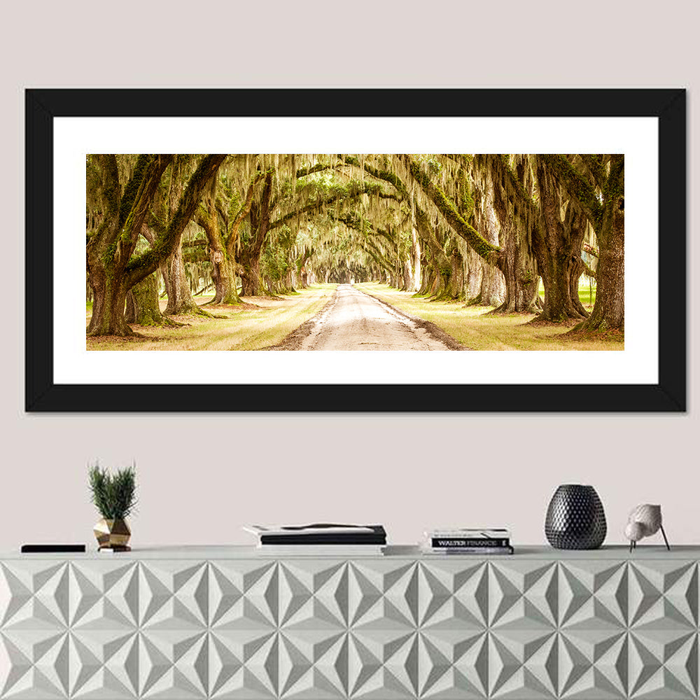 Oak Pathway Under Spanish Moss Wall Art