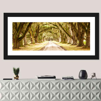 Oak Pathway Under Spanish Moss Wall Art
