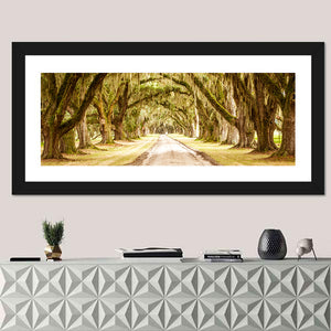 Pathway Under Deep Spanish Moss Wall Art