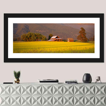 Rapeseed Field and Barn at Golden Hour Wall Art