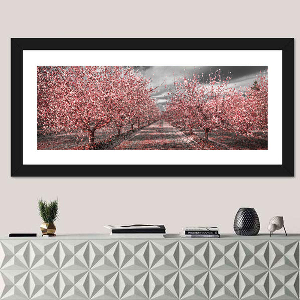 California Orchard Pink Blossoms Wall Art in a room, panoramic