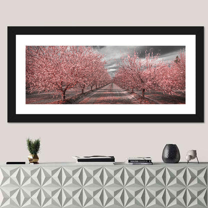 California Orchard Pink Blossoms Wall Art