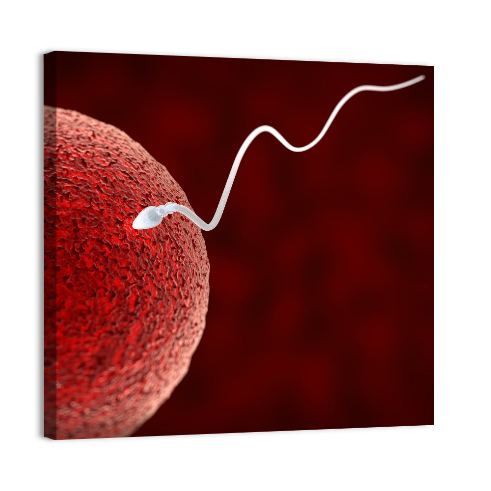 Sperm Approaching Ovum Wall Art