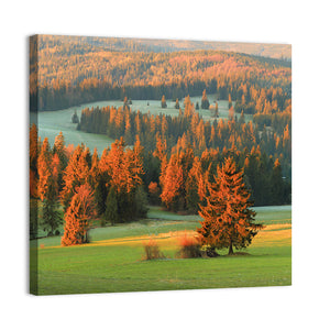 Tatra Mountain Hills Wall Art