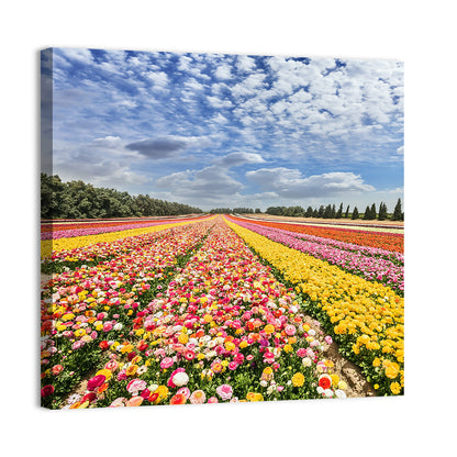 Spring Buttercup Field Wall Art