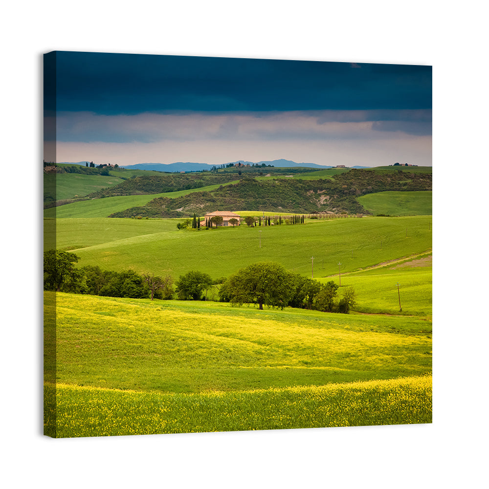 Tuscany in Summer Wall Art
