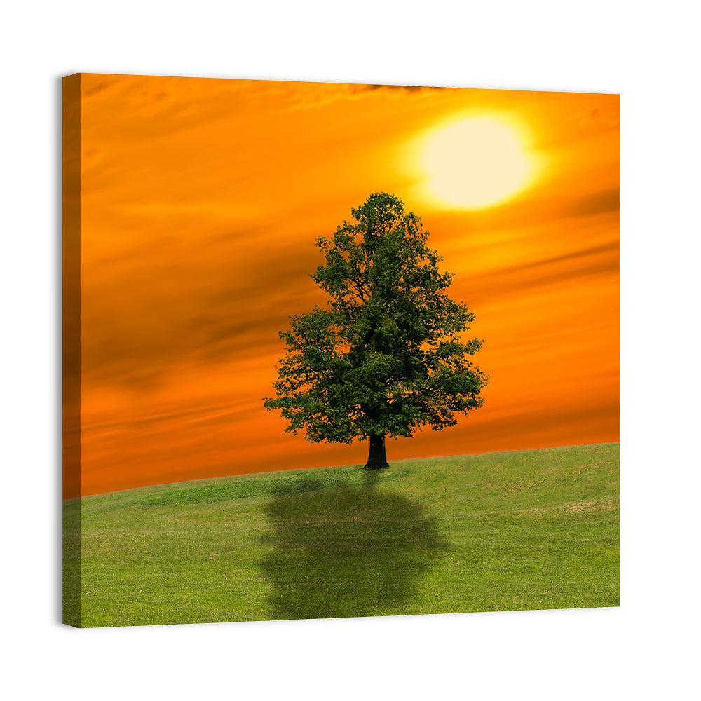 Lonely Tree on Green Hill at Sunset Wall Art