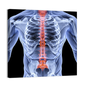 Men Backbone X-Ray Wall Art