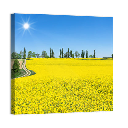 Winding Path Through Rapeseed Field Wall Art