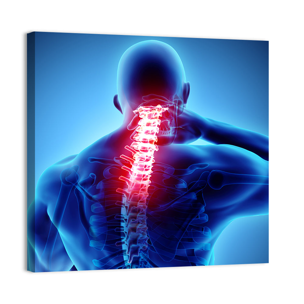 Cervical Spine X-ray Illustration Wall Art