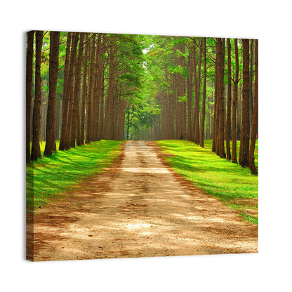 Thailand Pine Forest Path Wall Art