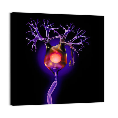 Microscopic Human Neuron Illustration Wall Art