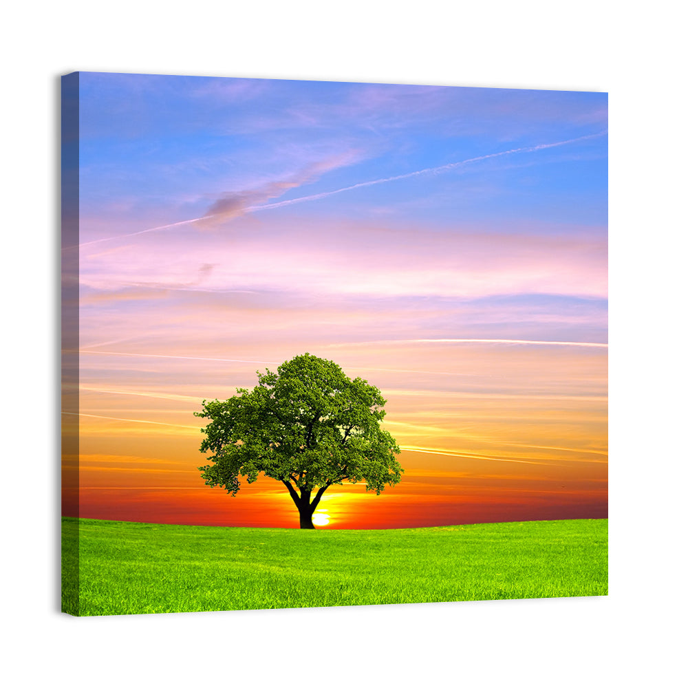 Lone Tree at Sunset Wall Art