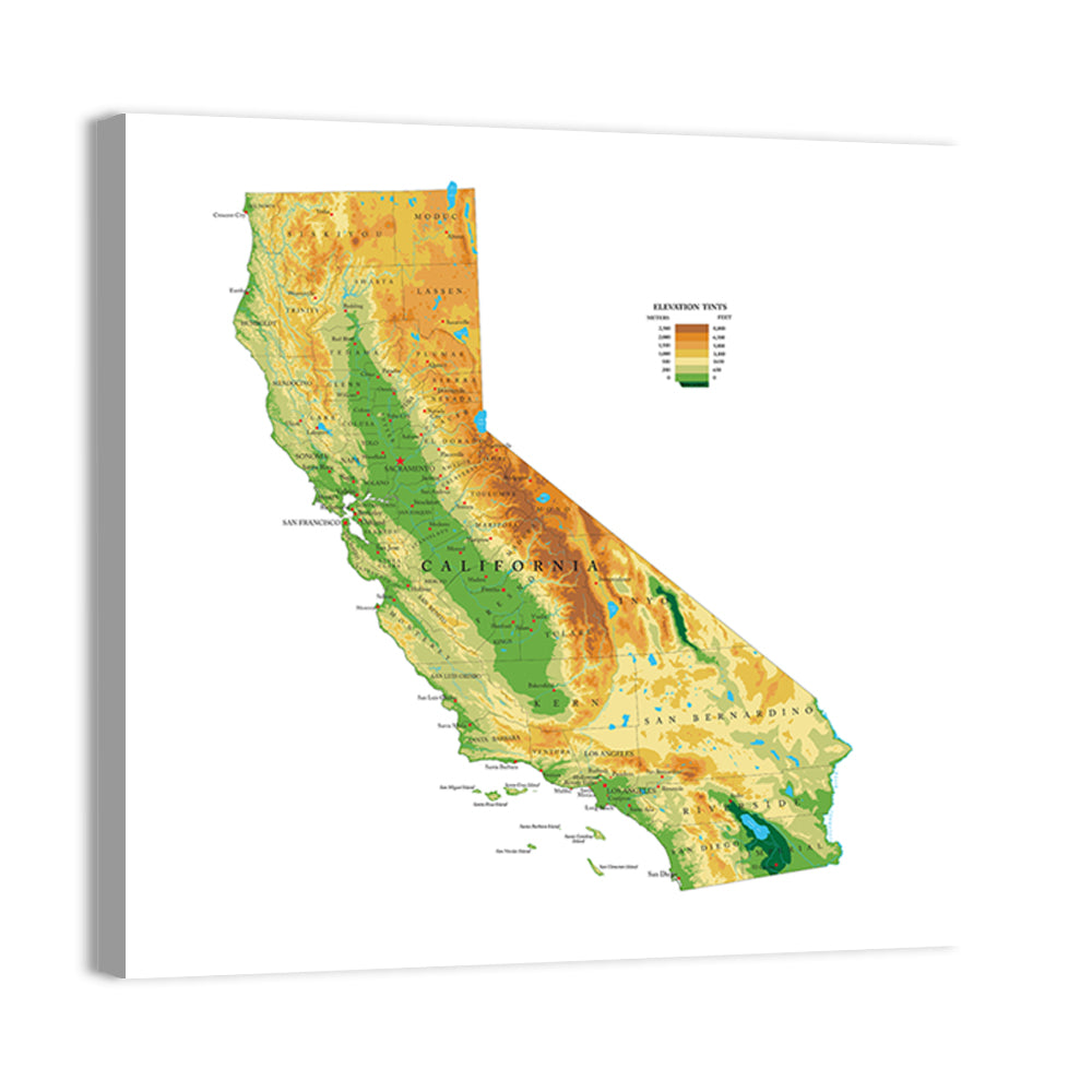 California Topographic Map Wall Art