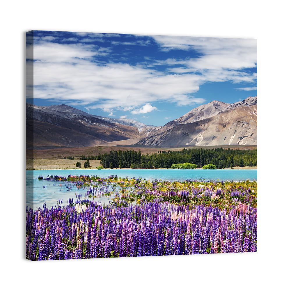 Lupines at Lake Tekapo Wall Art