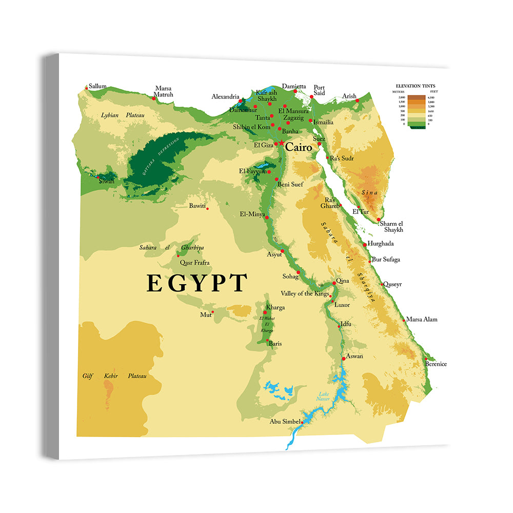 Egypt Topographic Map Wall Art, canvas print, square