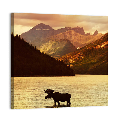 Moose In Waterton Lakes National Park Wall Art