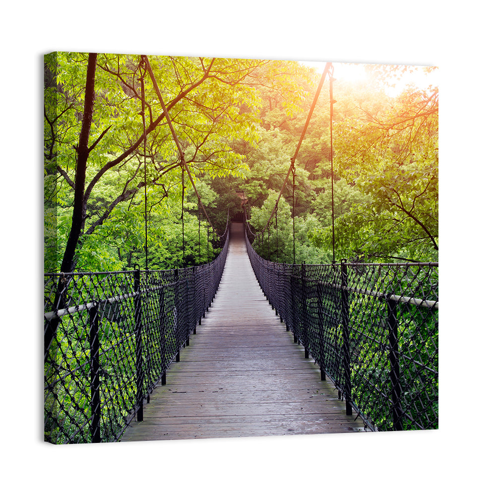 Bridge To Jungle In Guilin Wall Art