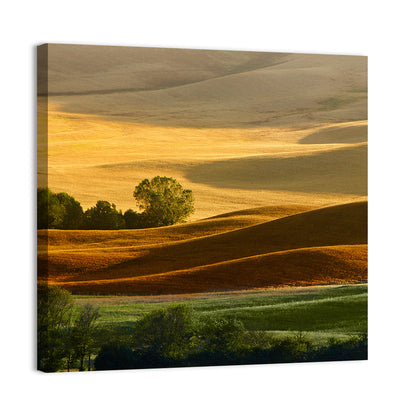 Golden Hills of Tuscany Wall Art