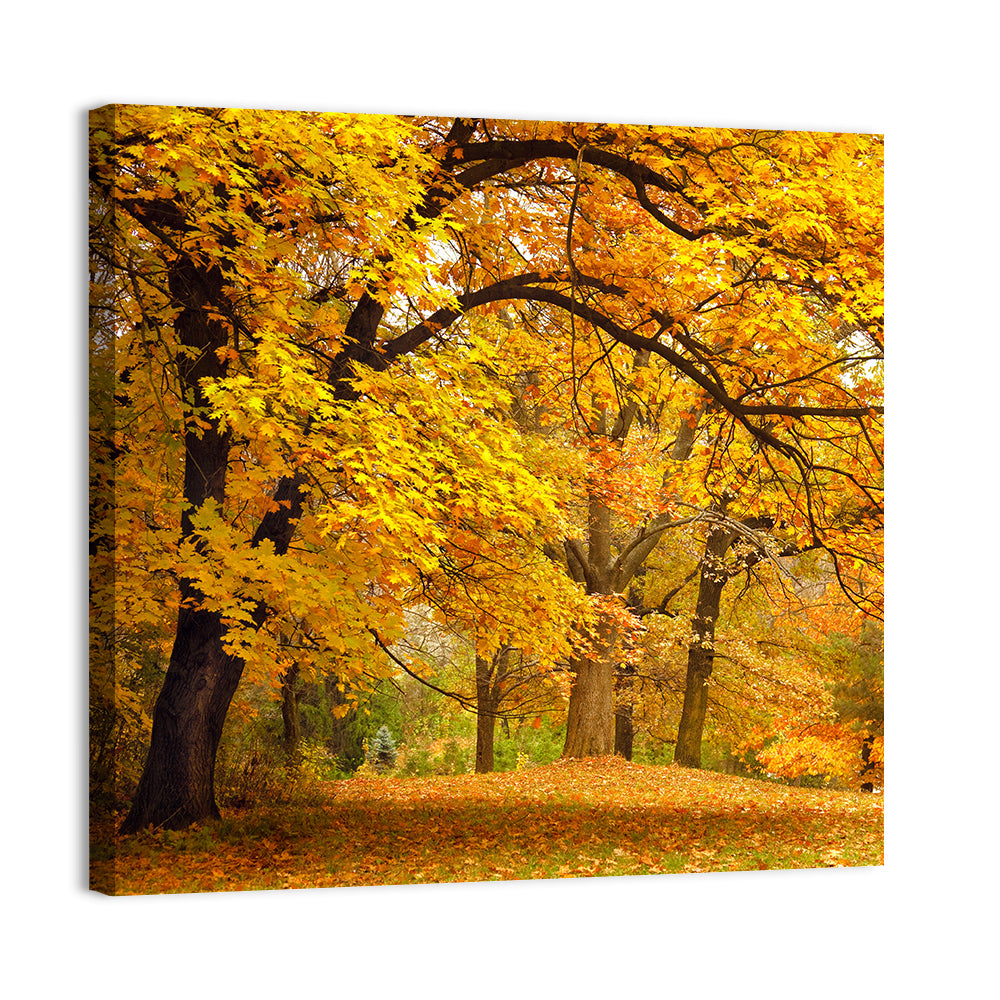 Golden Canopy in Autumn Park Wall Art