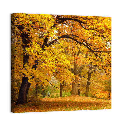 Golden Canopy in Autumn Park Wall Art