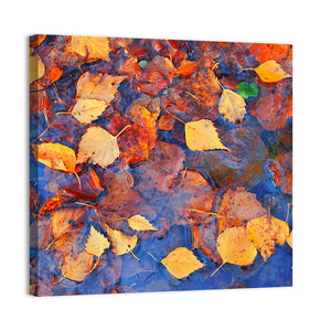 Fall Season Leaves In Rain Puddle Wall Art