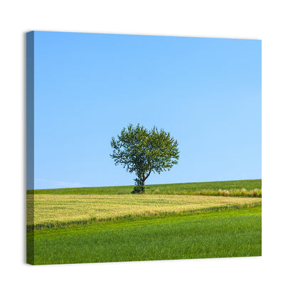Solitary Tree on Rolling Meadow Wall Art