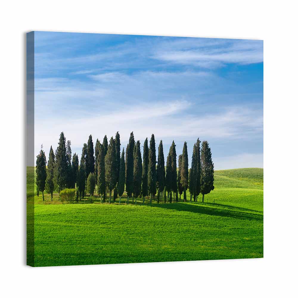 Tuscany Rolling Hills with Cypresses Wall Art