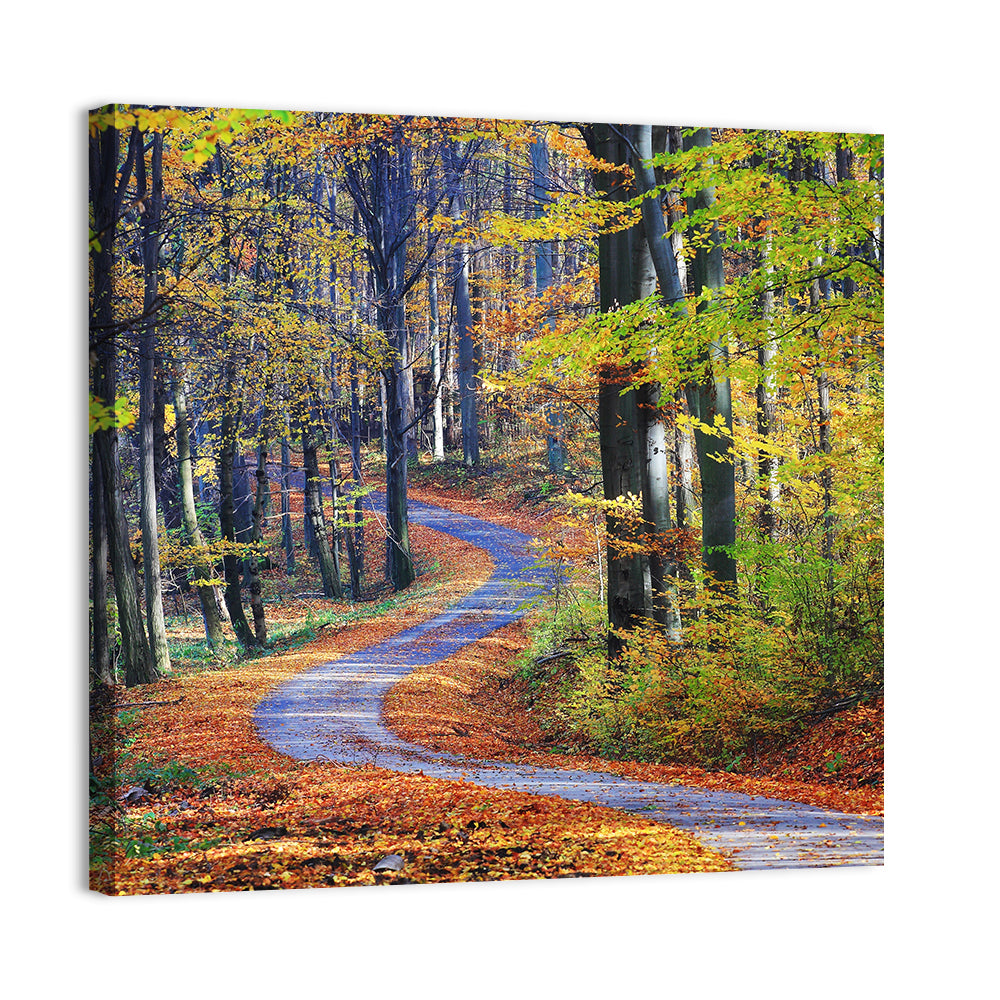 Winding Autumn Forest Path Wall Art
