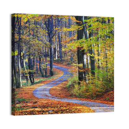 Winding Autumn Forest Path Wall Art