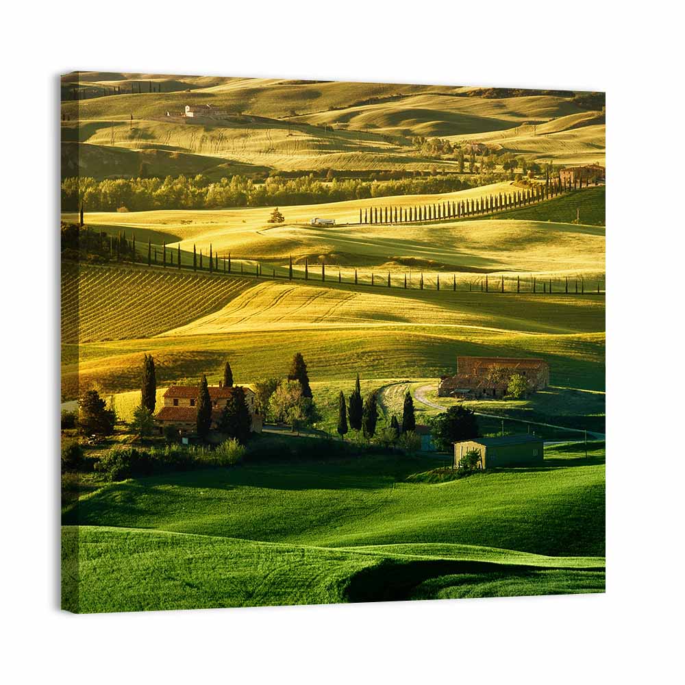 Tuscany Fields at Golden Hour Wall Art