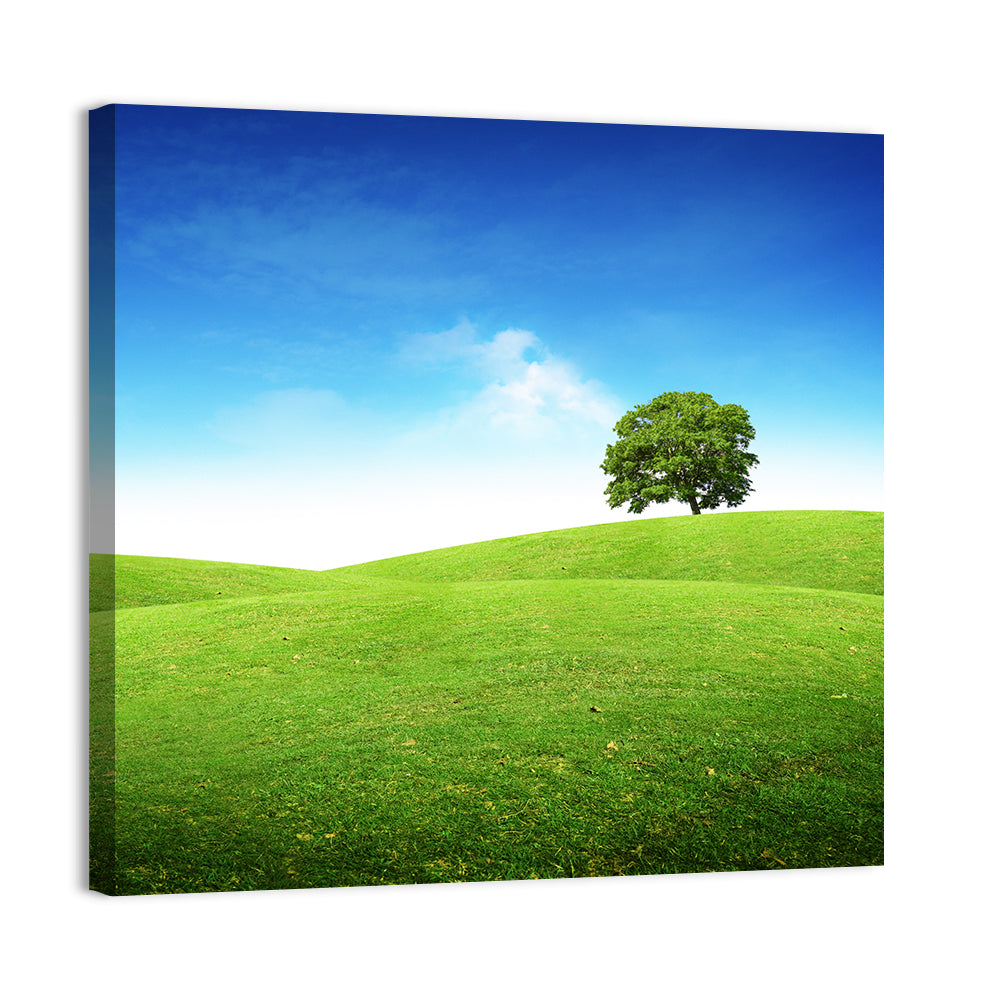 Lone Tree on Rolling Green Hill Wall Art
