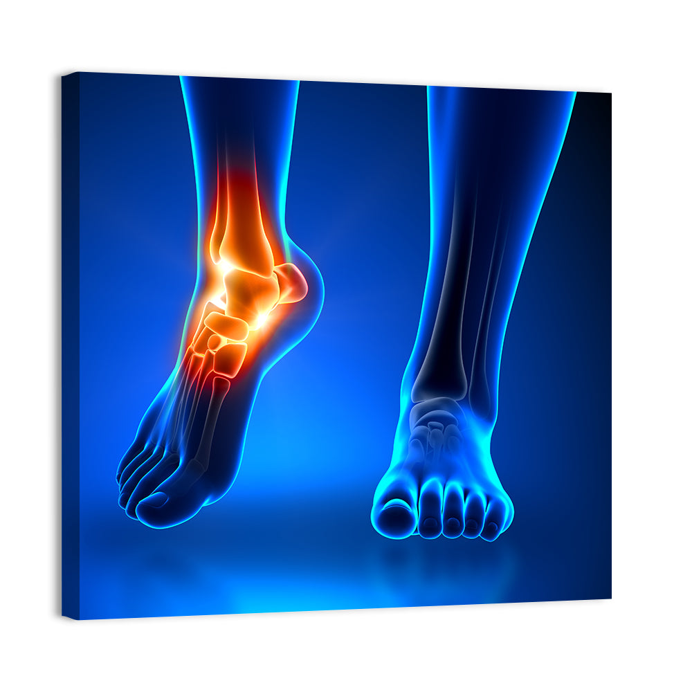 Ankle Anatomy X-ray Study Wall Art