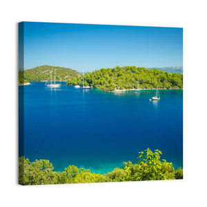 Coast Line Of Mljet Croatia Wall Art