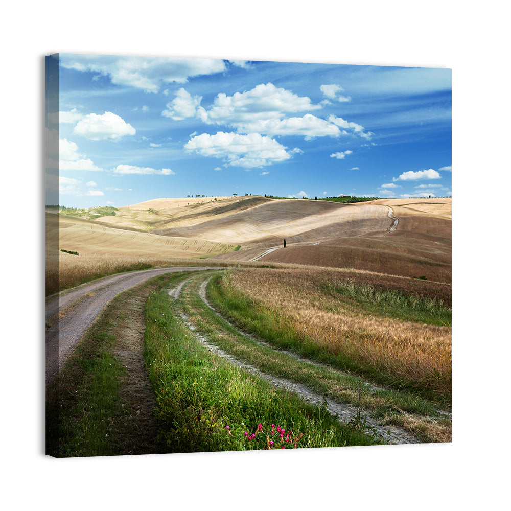 Dirt Road Through Tuscany Wall Art