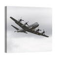 Turboprop Maritime Patrol Aircraft Wall Art