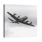 Turboprop Maritime Patrol Aircraft Wall Art