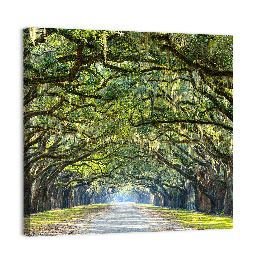 Savannah Oak Tree Pathway Wall Art