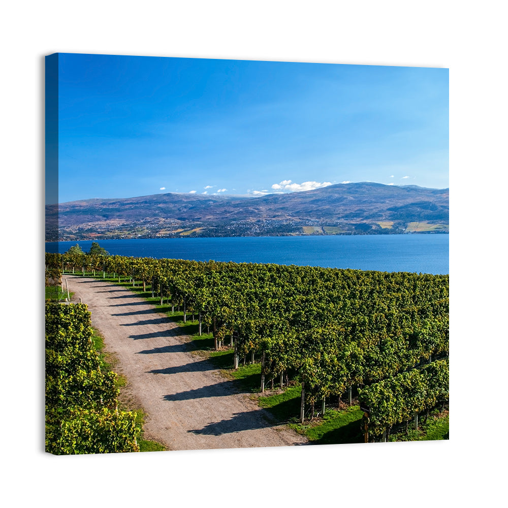 Lake Okanagan Vineyard Path Wall Art