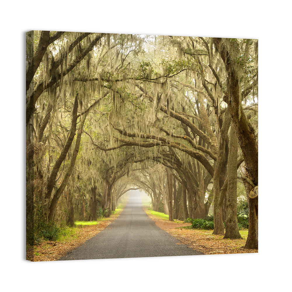 Spanish Moss Country Road Wall Art