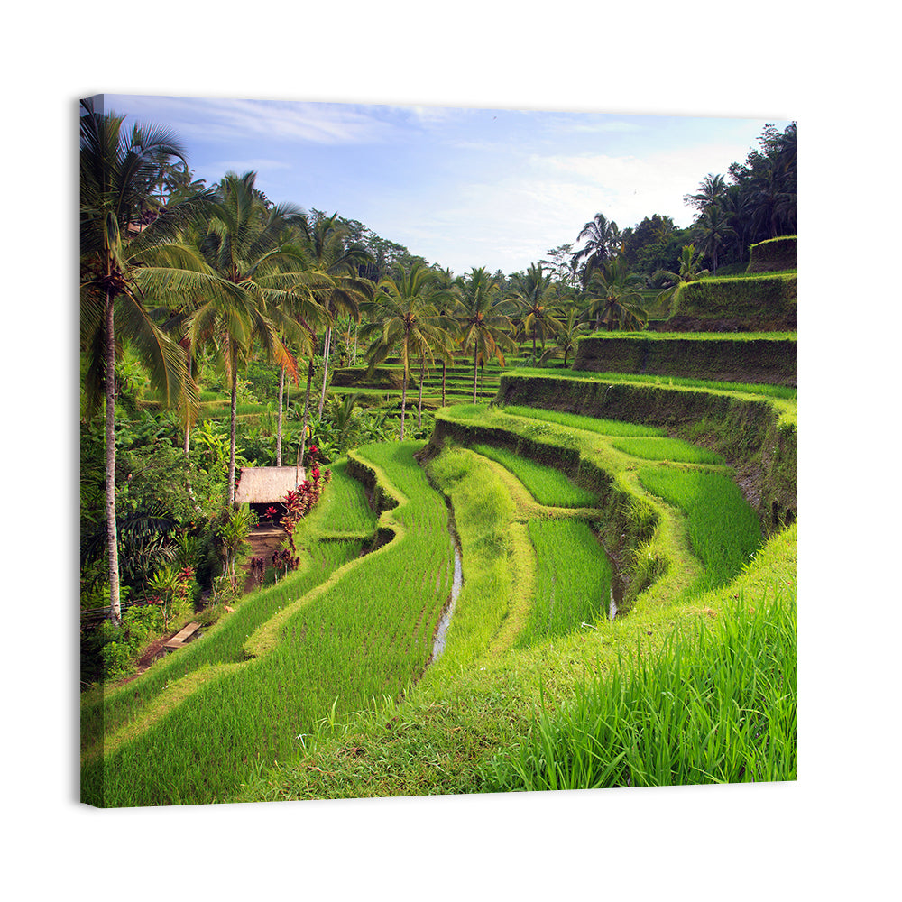 Tegallalang Rice Terraces Wall Art