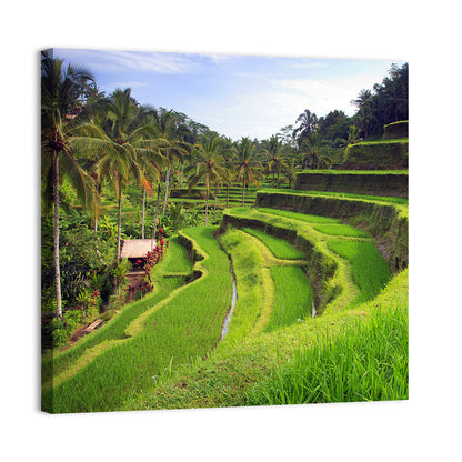 Tegallalang Rice Terraces Wall Art