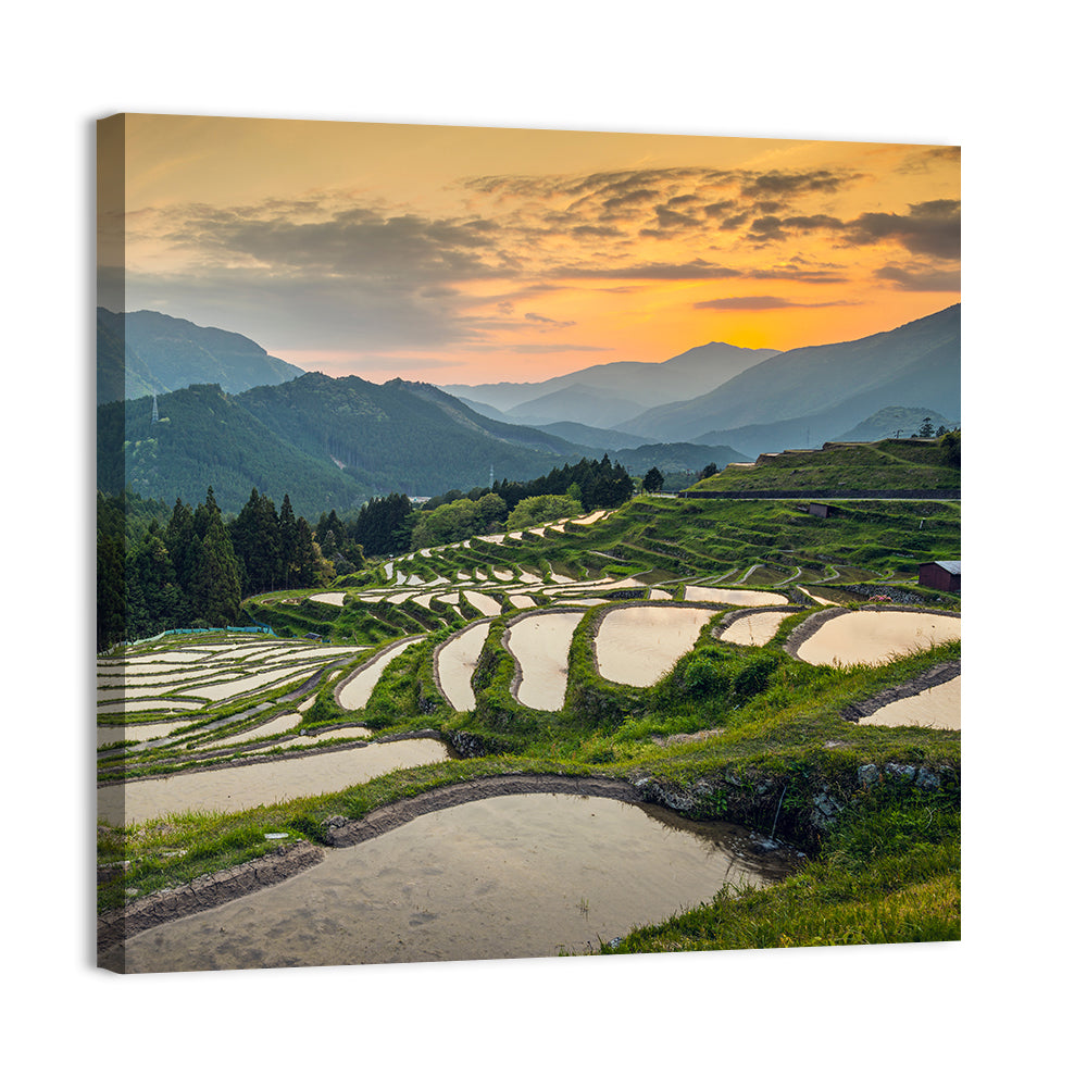 Sunset Over Japanese Rice Terraces Wall Art