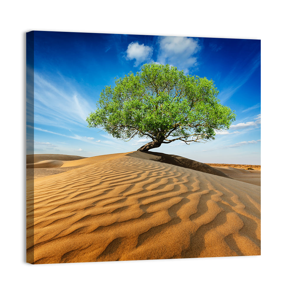 Solitary Green Tree on Sand Dune Wall Art