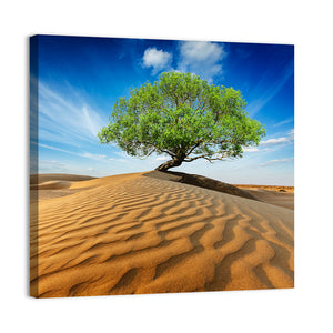 Lonely Green Tree In Desert Dunes Wall Art