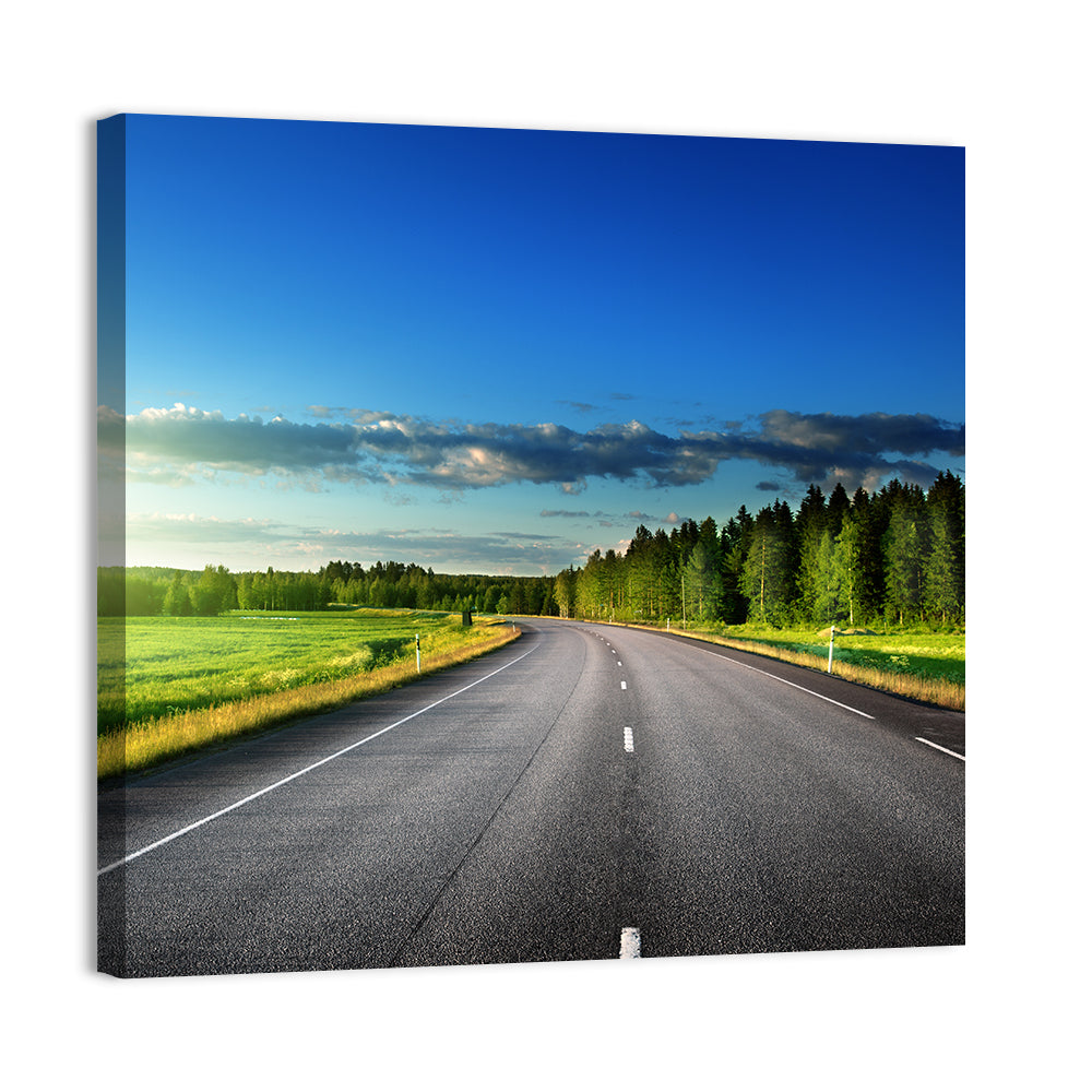 Curved Asphalt Road Through Forest Wall Art