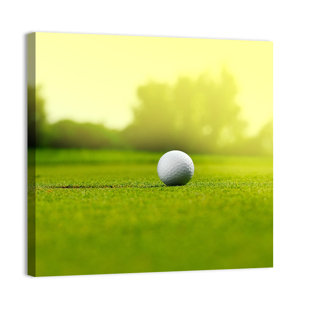 Dimpled Golf Ball on Putting Green Wall Art